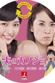 夫のカノジョ 2013 En Netflix