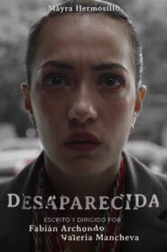Desaparecida Online En Netflix