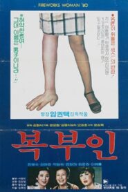 복부인 Online En Netflix