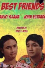 Best Friends Online En Netflix