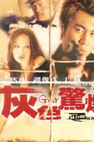 灰色驚爆 Online En Netflix