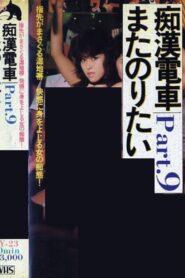 痴漢ワイセツ電車 Online En Netflix