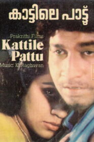 Kaattile paattu Online En Netflix