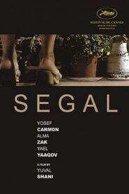 Segal Online En Netflix