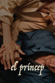 El príncep Online En Netflix