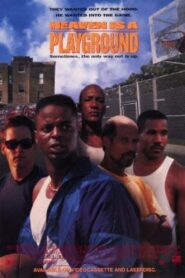 Heaven Is a Playground Online En Netflix