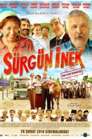 Sürgün İnek Online En Netflix