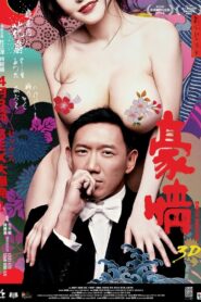 3D 豪情 Online En Netflix