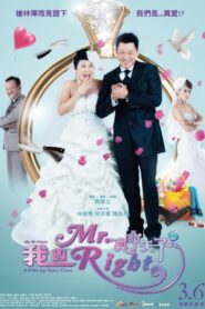 我的Mr. Right Online En Netflix