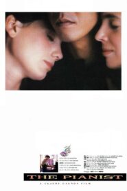 The Pianist Online En Netflix