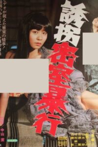 誘拐密室暴行 Online En Netflix