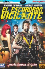 La venganza de los vigilantes Online En Netflix