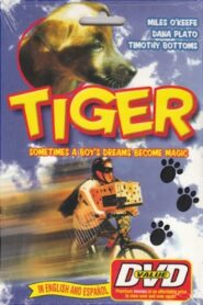 Tiger Online En Netflix