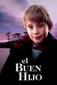 El ángel malvado Online En Netflix