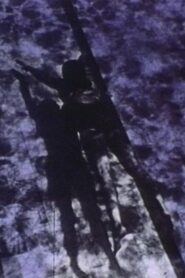 Pools Online En Netflix