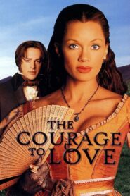 The Courage to Love Online En Netflix