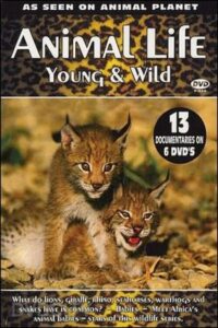 Animal Life: Young & Wild 2002 En Netflix