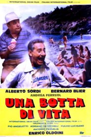 Una botta di vita Online En Netflix