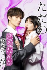 We Can’t Do Just Plain Love 2025 En Netflix