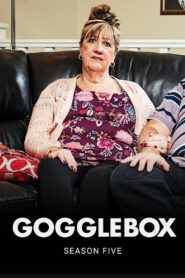 Gogglebox: Temporada 5 {year} En Netflix