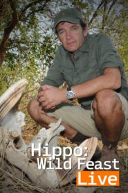 Hippo: Wild Feast Live 2011 En Netflix