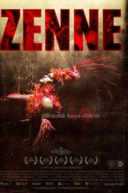Zenne Online En Netflix