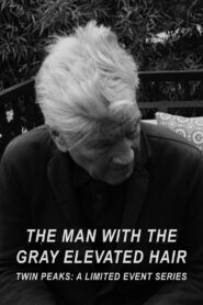 The Man with the Gray Elevated Hair Online En Netflix