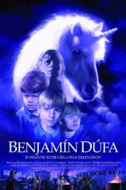 Benjamín dúfa Online En Netflix