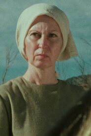 Hinterland Online En Netflix