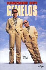 Gemelos Online En Netflix