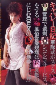 キャバレー日記 Online En Netflix