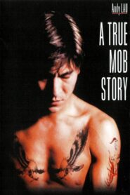 龍在江湖 Online En Netflix