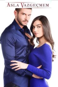 No te vayas sin mí 2015 En Netflix