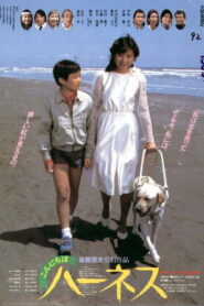 こんにちはハーネス Online En Netflix