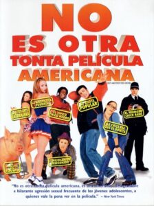 No es otra tonta película americana Online En Netflix