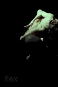 Flex Online En Netflix