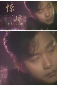 惊情 Online En Netflix