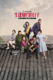 生逢灿烂的日子 2017 En Netflix