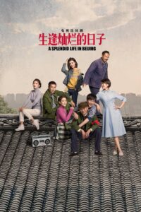 生逢灿烂的日子 2017 En Netflix