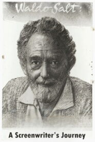 Waldo Salt: A Screenwriter’s Journey Online En Netflix