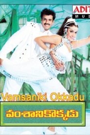 Vamsanikokkadu Online En Netflix