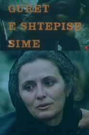 Gurët e shtëpisë sime Online En Netflix