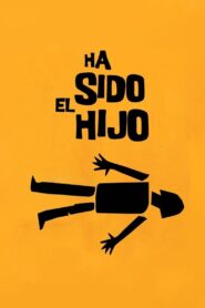 È stato il figlio Online En Netflix