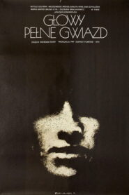 Głowy pełne gwiazd Online En Netflix