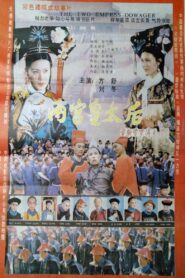 两宫皇太后 Online En Netflix