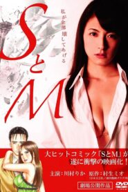 SとM Online En Netflix