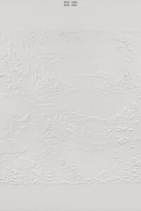 Bon Iver at AIR Studios (4AD/Jagjaguwar Session) Online En Netflix