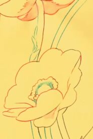 Airy Me Online En Netflix