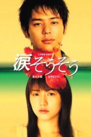 涙そうそう Online En Netflix