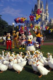 Donald Duck’s 50th Birthday Online En Netflix